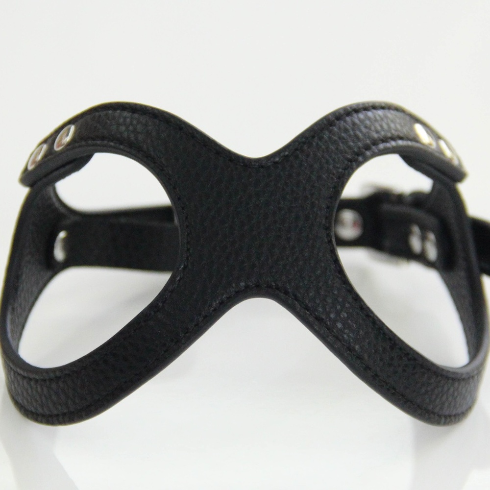 To Beg For Accessories and Treats